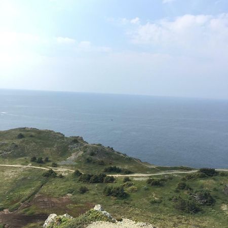 Mermaid Inn Bnb Twillingate Dış mekan fotoğraf