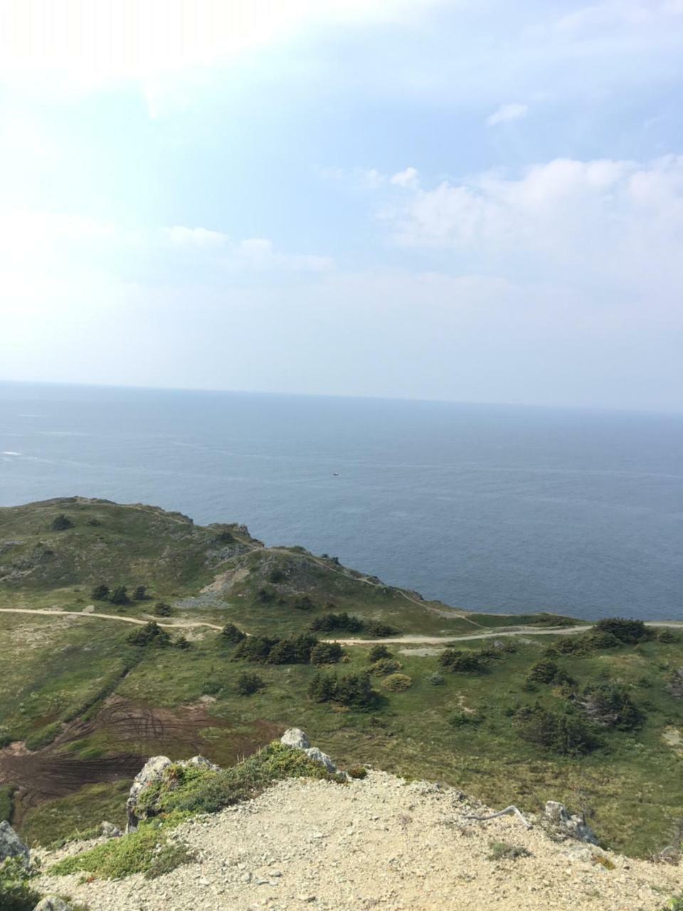 Mermaid Inn Bnb Twillingate Dış mekan fotoğraf